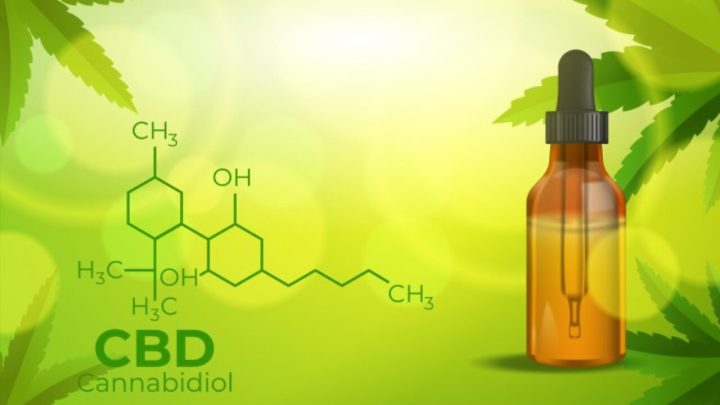 The Wellness Oasis: Your Trusted CBD Shop
