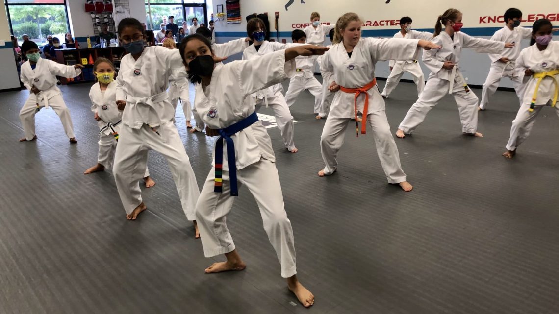 Harmony Haven School of Martial Mastery: Where Tradition Meets Transformation