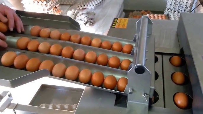 Crack Smarter, Not Harder: Next-Gen Egg Cracking Devices